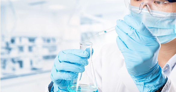 新聞動(dòng)態(tài)