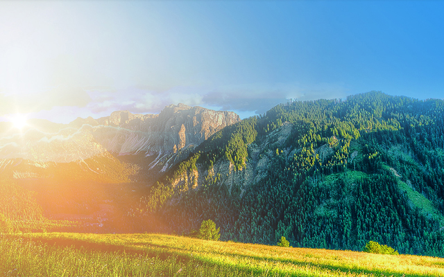 北京金奧利維科技發(fā)展有限公司